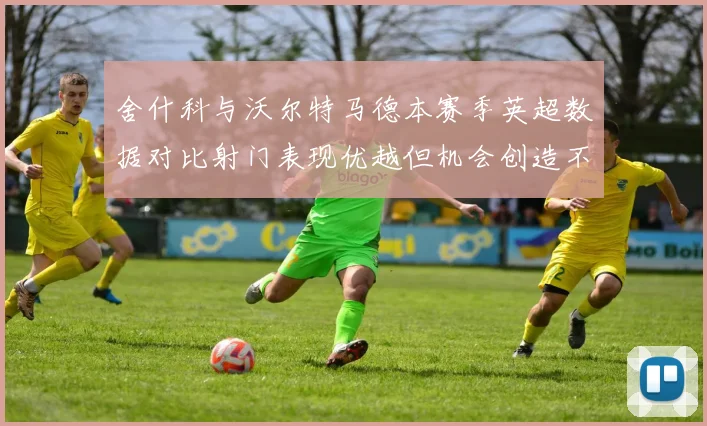 舍什科与沃尔特马德本赛季英超数据对比射门表现优越但机会创造不足