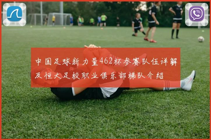 中国足球新力量462杯参赛队伍详解及恒大足校职业俱乐部梯队介绍