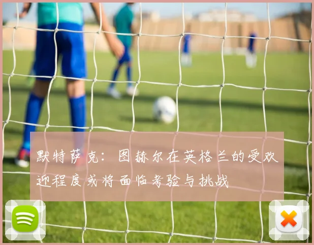 默特萨克：图赫尔在英格兰的受欢迎程度或将面临考验与挑战