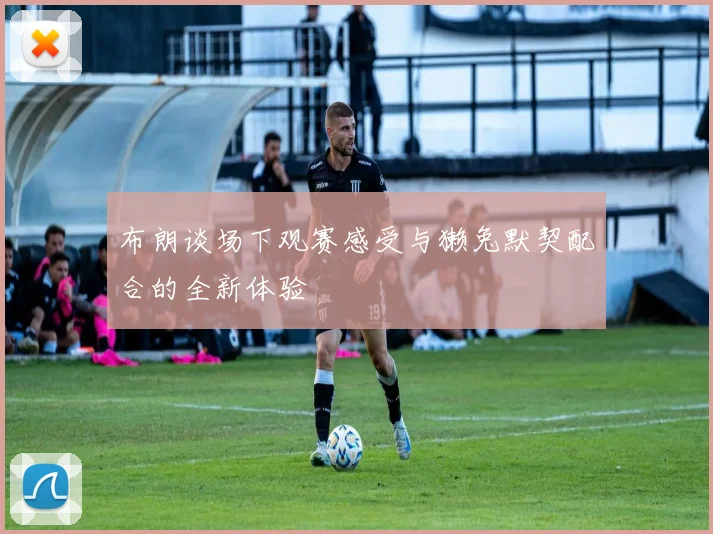 布朗谈场下观赛感受与獭兔默契配合的全新体验