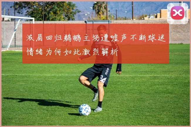 浓眉回归鹈鹕主场遭嘘声不断球迷情绪为何如此激烈解析
